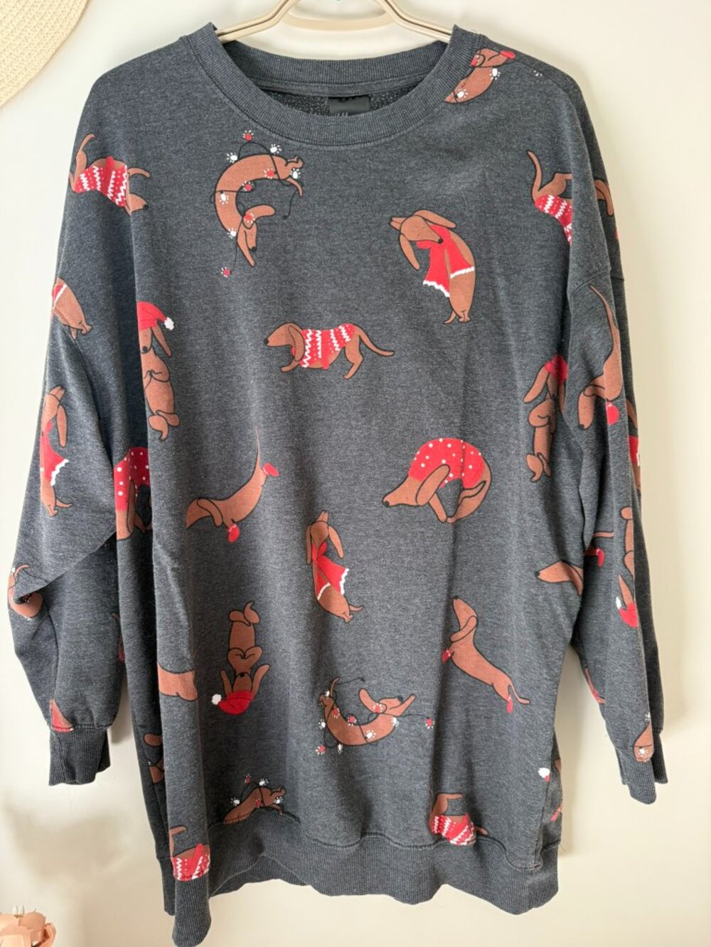 H&M Dachshund Christmas Sweatshirt (Size L)